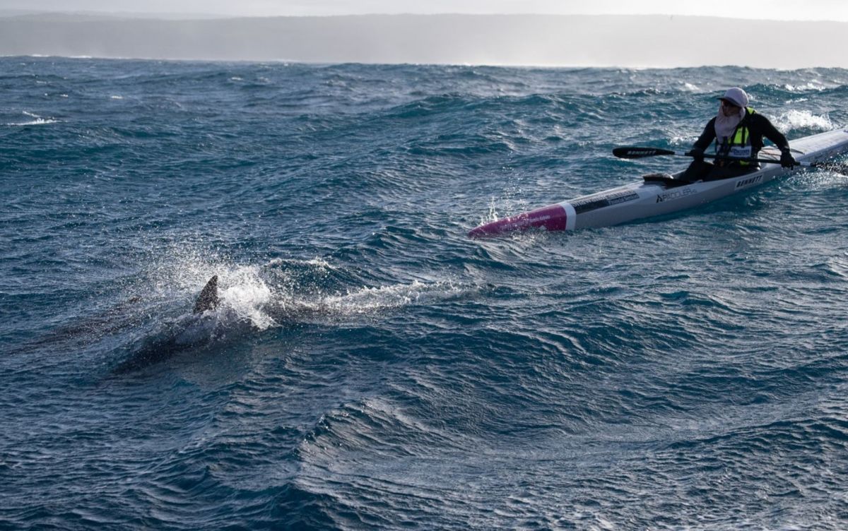 Women on paddle boat during day with a dolphin on rough sea