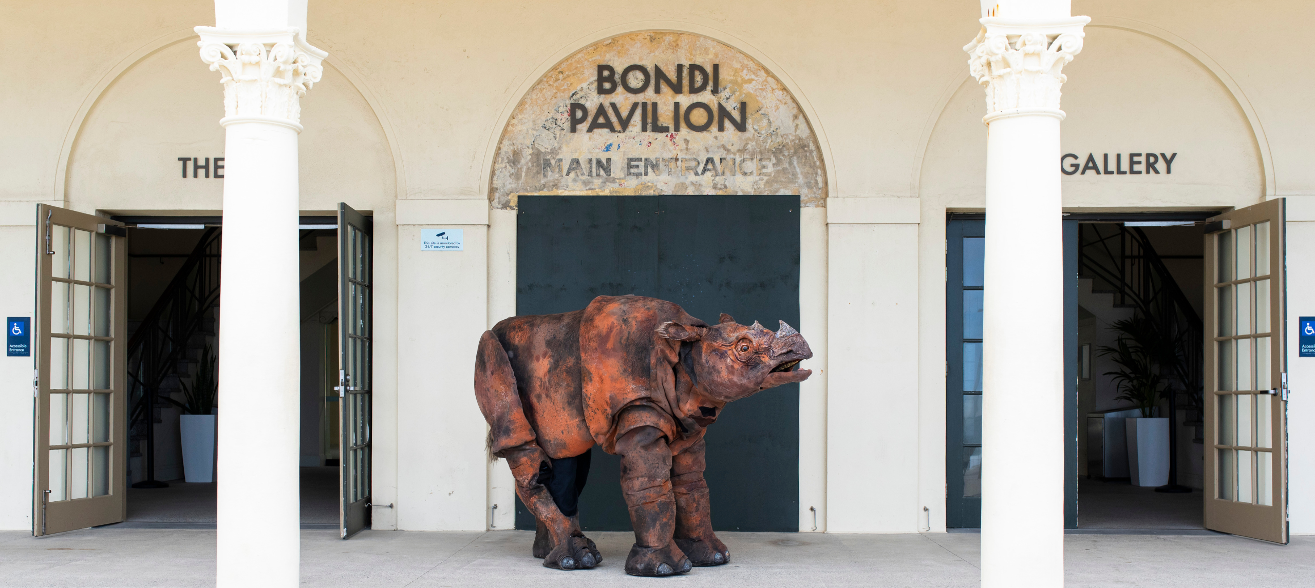 A giant puppet rhino standing between the Bondi Pavilion pillons with the ocean behind it