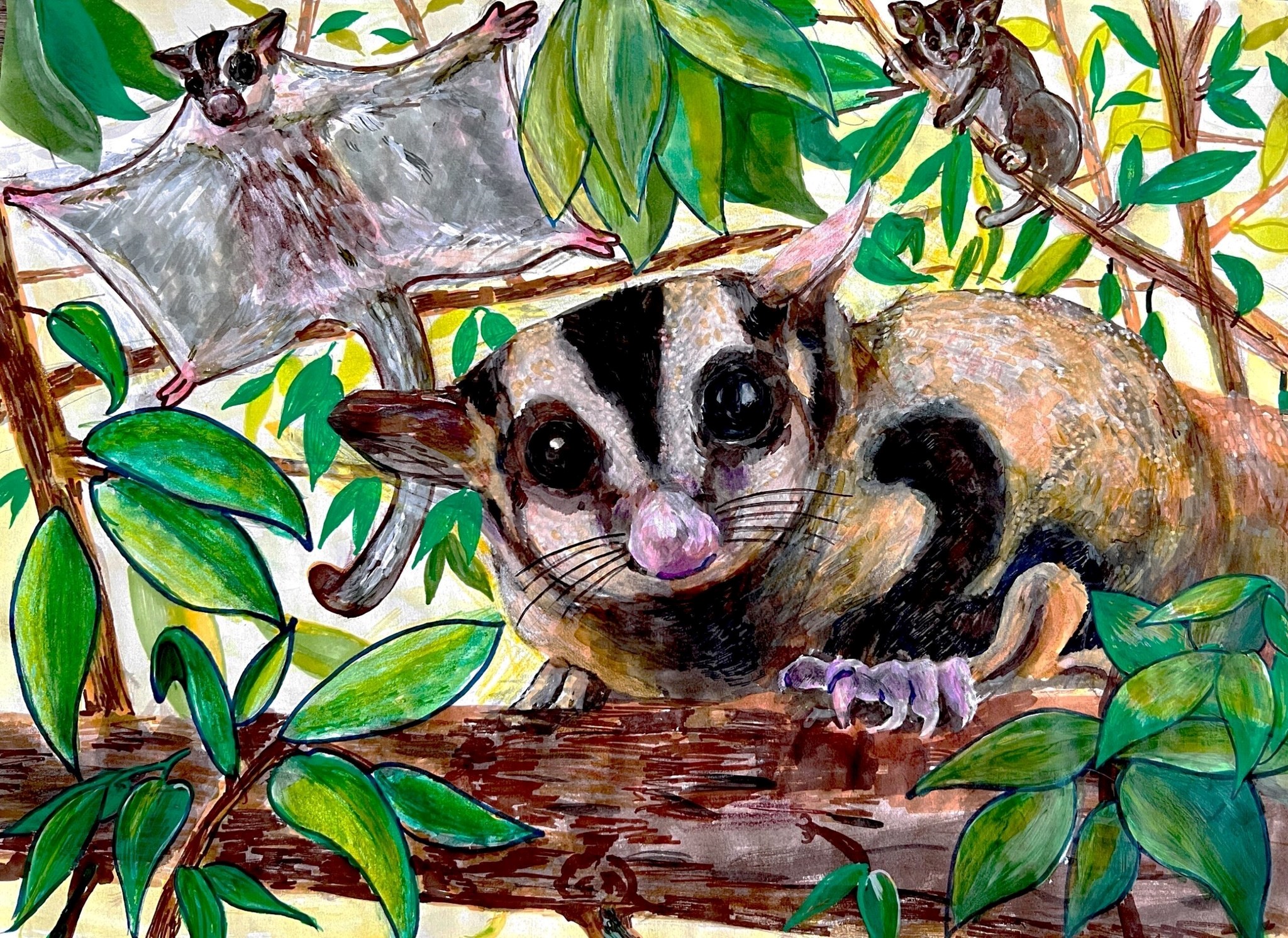 Drawing of possums in trees