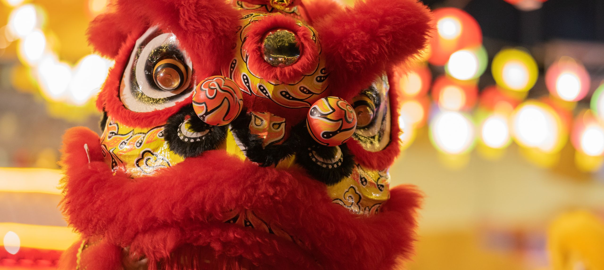 Lunar new year lion performance costume