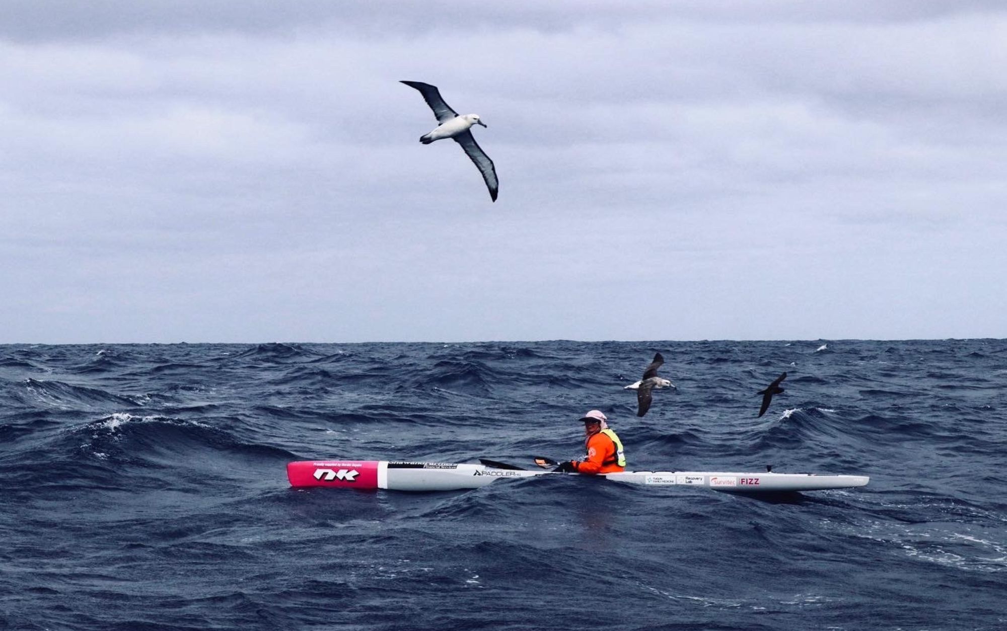 Bonnie hancock in her paddle boat on a rough sea with seagulls flying overhead